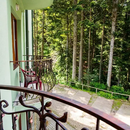 Zelenyy Bir Otel Skhidnytsia