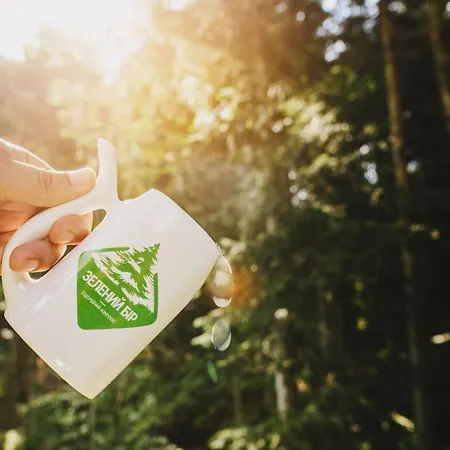 Zelenyy Bir 호텔 *