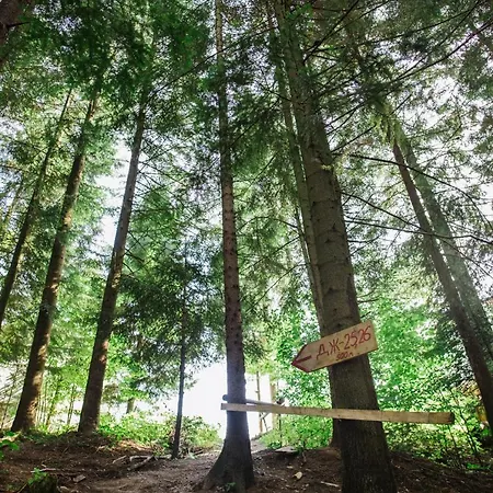 Zelenyy Bir * Skhidnytsia