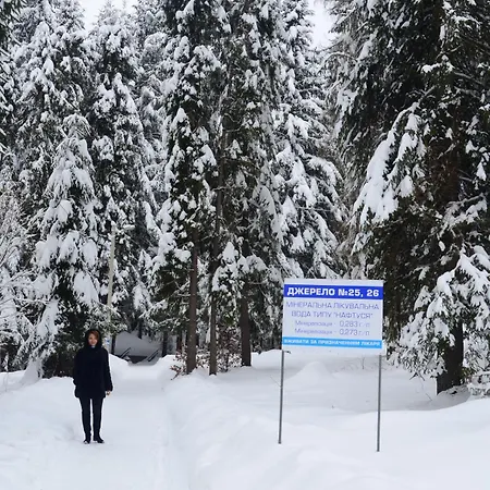 호텔 Zelenyy Bir *