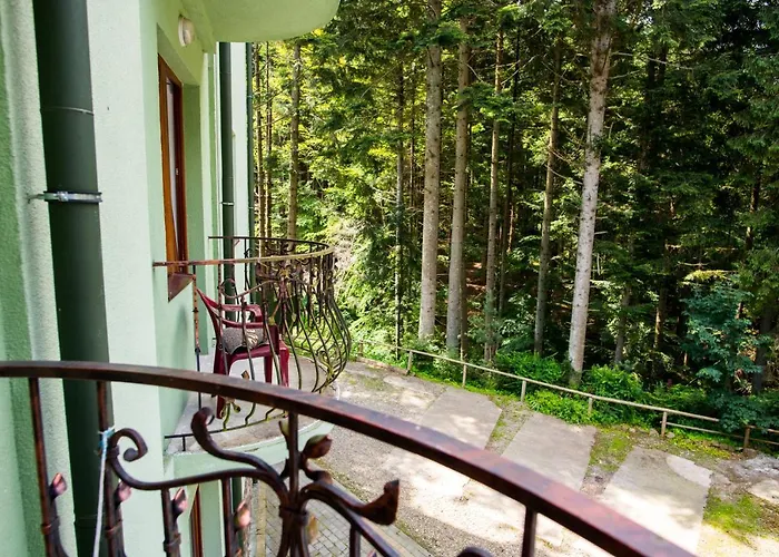Zelenyy Bir Ξενοδοχείο Skhidnytsia