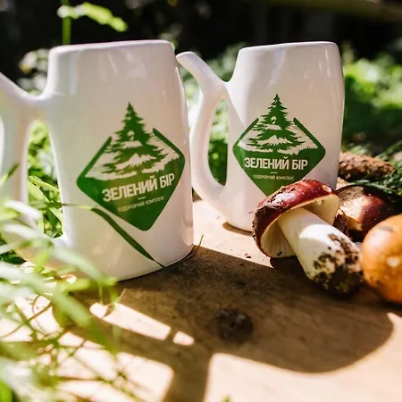 Zelenyy Bir Skhidnytsia